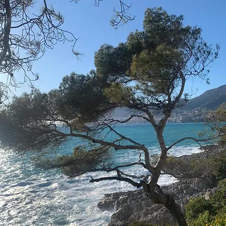 Appartamento Castiello