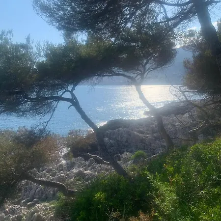 Castiello Apartman *