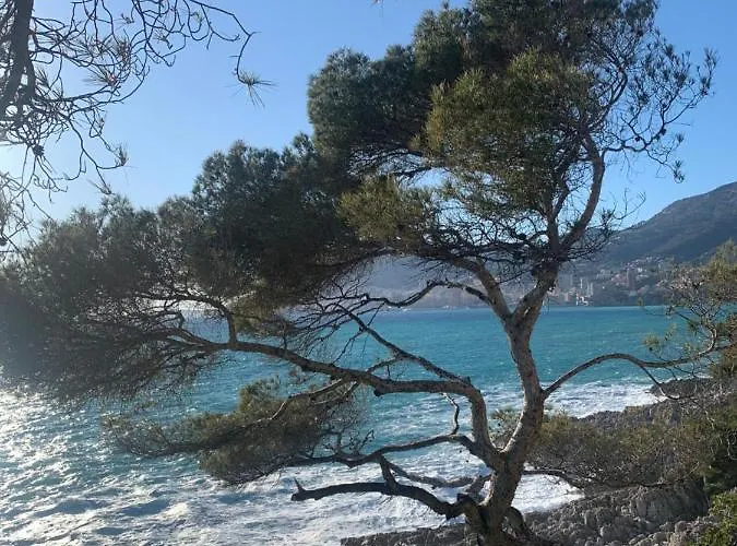 Appartamento Castiello